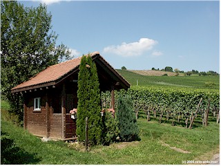 A cosy cabin within a wine yard