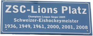 ZSC Lions Platz