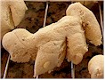 Chraebeli (Anise cookies)