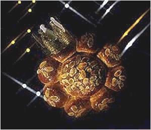 Dreik�nigskuchen (Epiphanias cake)