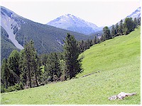 Alp Grimmels, the alpine meadow in the foreground and a mountain in the back