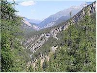 The main valley seen through the forest from the trail to Alp la Schera with the Pass dal Fuorn road in the center