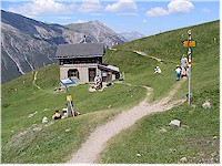 Alp la Schera - a small hut in the middle of an alpine meadow