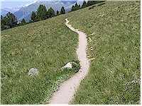 Easy trail on an alpine meadow