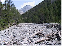 Val dal Botsch - a wide river bed with lots of rocks and some dead wood but hardly any water. There is a forest on both sides of the river and a mountain in the background