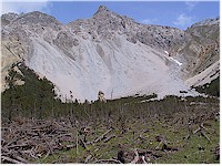 Val dal Botsch - an alpine meadow with a lot of dead wood in the foreground and a mountain range in the back