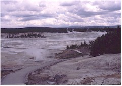 Norris Geyser Basin im Yellowstone NP