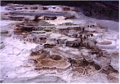 Sinter-Terrassen bei Mammoth Hot Springs im Yellowstone NP