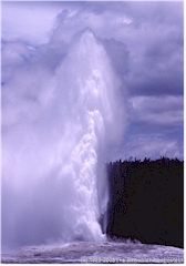 Geyser Old Faithful im Upper Geyser Basin des Yellowstone NP