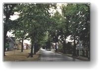 [ hauptstrasse in bergwitzsee ]