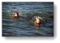 [ katrin und daniel schwimmen in der nordsee ]