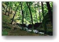 [ wanderung durch die schlucht von forsakar ]