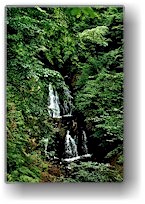 [ wasserfall ]
