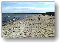 [ sandstrand auf land ]