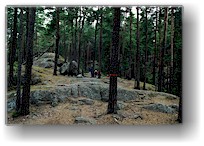 [ wanderweg im tiveden nationalpark ]