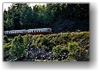 [ triebwagen der DVVJ ]