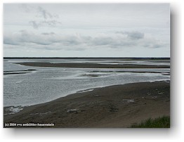 [ kste im kouchibouguac nationalpark ]