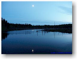 [ der mond ber dem caribou lake im fundy NP ]