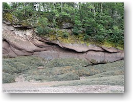 [ ufer der herring cove im fundy NP bei ebbe ]