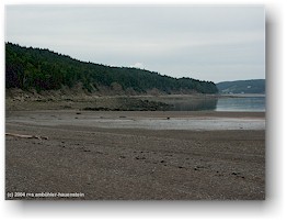 [ herring cove im fundy NP bei ebbe ]