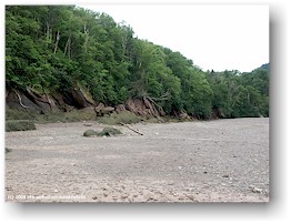 [ herring cove im fundy NP bei ebbe ]