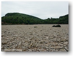 [ herring cove im fundy NP bei ebbe ]