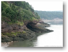 [ hhle bei matthews head im fundy NP ]
