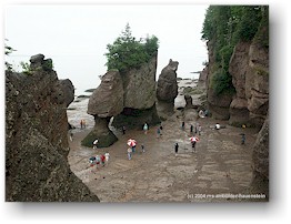 [ meeresboden und gesteinsformationen im the rocks PP ]