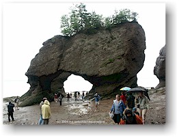 [ meeresboden und gesteinsformationen im the rocks PP ]