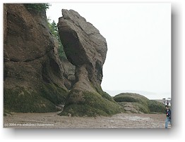 [ meeresboden und gesteinsformationen im the rocks PP ]