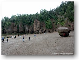 [ meeresboden und gesteinsformationen im the rocks PP ]