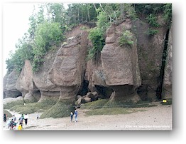 [ meeresboden und gesteinsformationen im the rocks PP ]