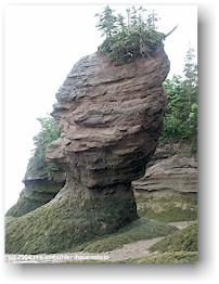 [ gesteinsformation im the rocks PP ]