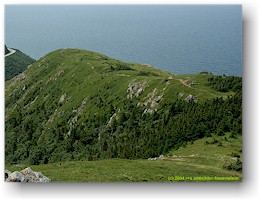 [ blick vom skyline wanderweg auf kste im cape breton NP ]