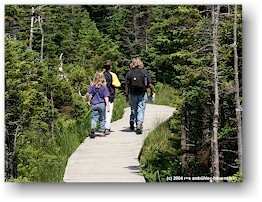 [ susanne und kinder auf dem skyline wanderweg im cape breton NP ]