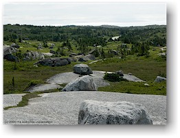 [ kstenlandschaft bei peggys cove ]