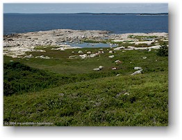 [ kste beim Swissair SR-111 memorial bei peggys cove ]
