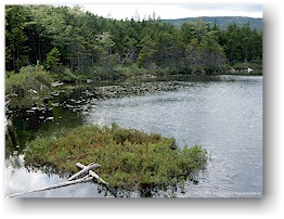 [ "the bowl" am mount champlain ]