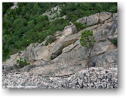[ beehive trail am mount champlain ]