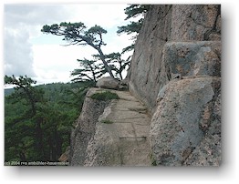 [ beehive trail am mount champlain ]