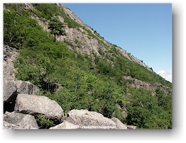 [ flanke des champlain mountain ]