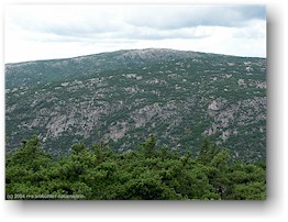 [ blick auf dorr mountain ]
