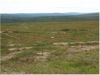 [ karge landschaft bei saariselk ]
