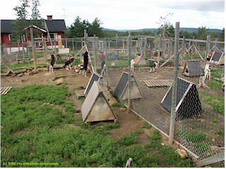 [ zwinger auf der huskyfarm ]