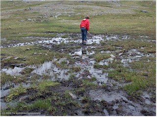 [ sumpfiger wanderweg zum knivskjelodden ]