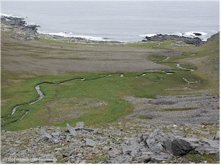 [ blick auf die kste bei knivskjelodden ]