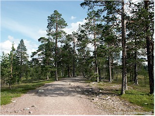 [ fulufjll nationalpark: wanderweg ]