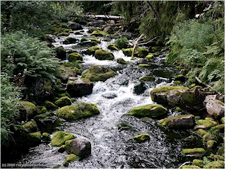 [ fulufjll nationalpark: bergbach ]