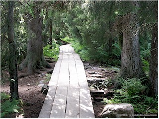 [ fulufjll nationalpark: wandersteg ]