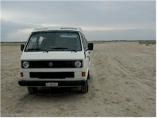unser "jogi" auf dem sandstrand von rm, DK